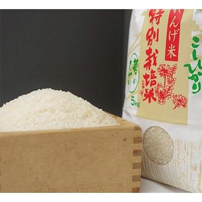 ふるさと納税 庄原市 【毎月定期便】夢のひかり10kg(こしひかり)全3回 |  | 01