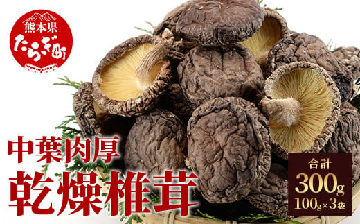 【農林水産大臣賞受賞】槻木産 中葉厚肉 乾燥椎茸 3袋セット 計300g ＜100g×3＞ しいたけ 熊本県 多良木町 原木 シイタケ 【 椎茸 しいたけ シイタケ 槻木 つきぎ 乾燥 乾燥椎茸 干し