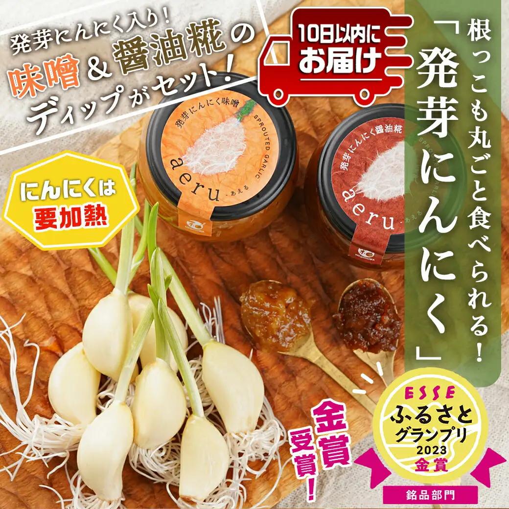 スーパーフード!つまみにんにく&ディップセット ≪みやこんじょ特急便≫_AA-C902_(都城市) 発芽にんにく味噌/発芽にんにく醤油糀 国産にんにく レシピ入り にんにく特有のにおい残りが少ない 冷
