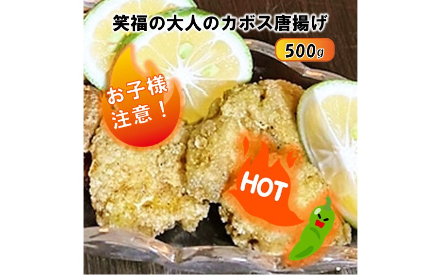 【期間限定】旬の今だけ！大人のカボス唐揚げ＆手羽塩ブラックペッパー 計1kg_2617R