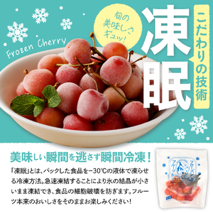 【瞬間冷凍】東根市産さくらんぼ 100g×5袋 東根農産センター提供 hi027-244 山形県 東根市 果物 フルーツ サクランボ 冷凍フルーツ 冷凍さくらんぼ ふるさと納税
