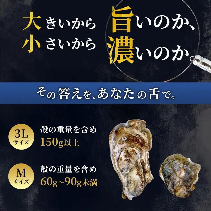 【 3ヵ月 定期便 】 厚岸産 ブランド 殻付カキ マルえもん 生食用 サイズ食べ比べ 12個 (3L・M各6個)[ 魚貝類 生牡蠣 かき 牡蠣 カキ 生ガキ 食べ比べ ]