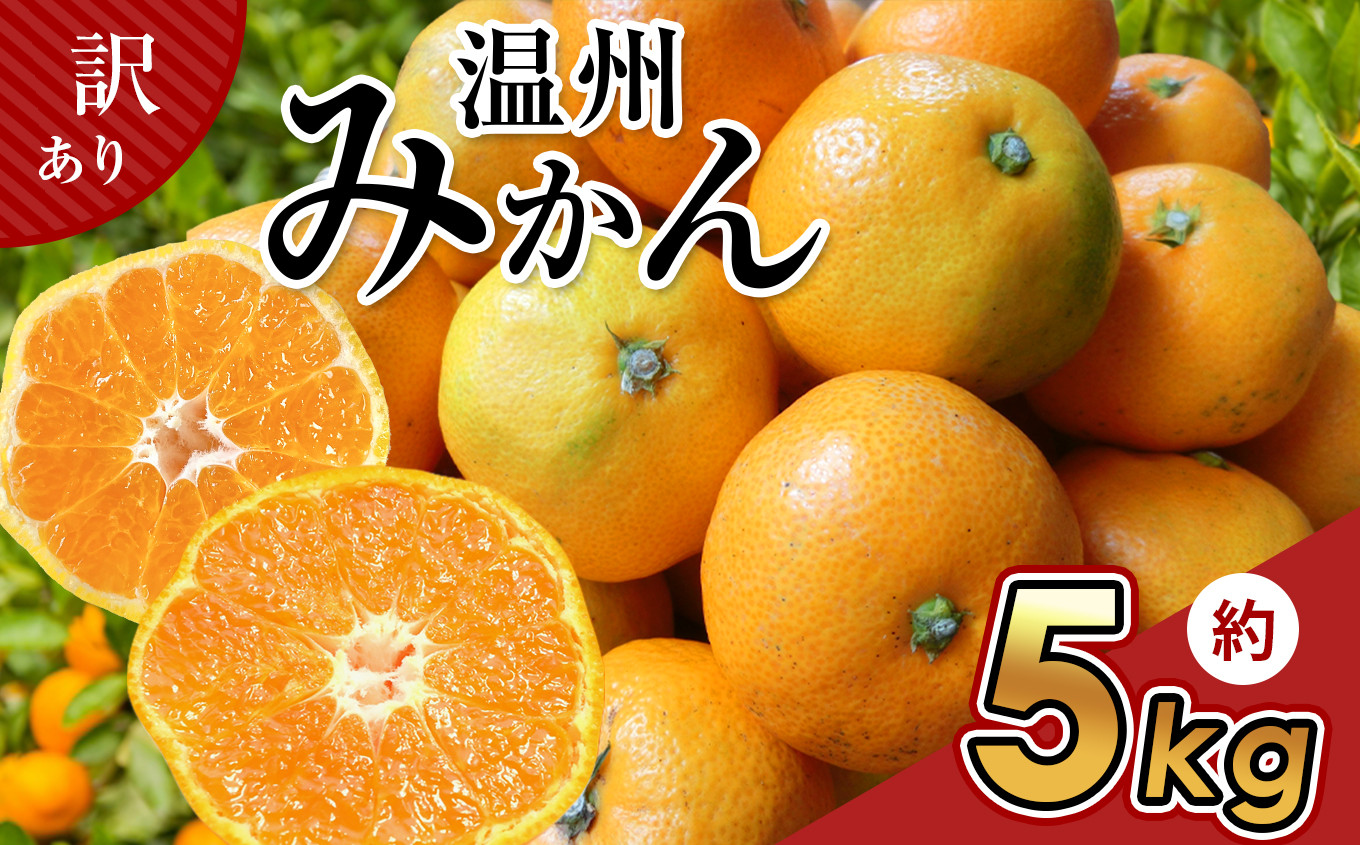 
                  訳あり 温州 みかん 約 5kg | フルーツ 果物 くだもの 柑橘 ミカン みかん 温州ミカン 熊本県 玉名市
                