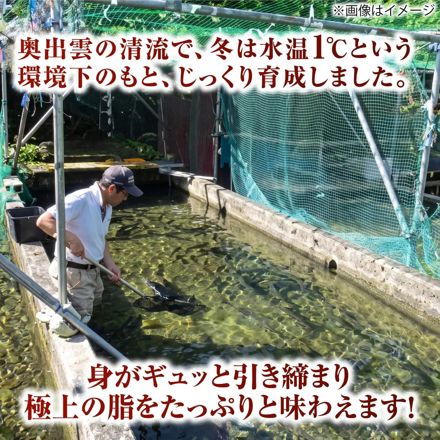 奥出雲サーモンの冷薫スモーク 100g×4パック | サーモン 冷薫スモーク 加工品　海鮮　国産 島根県雲南市/結システム[AIEW006]