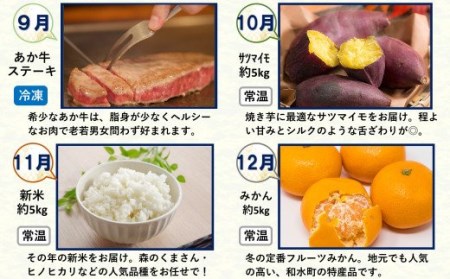 【 定期便 12回 】支援 企画 ！ くまもと 生産 農家 応援 定期便 ！ 肉 野菜 フルーツ