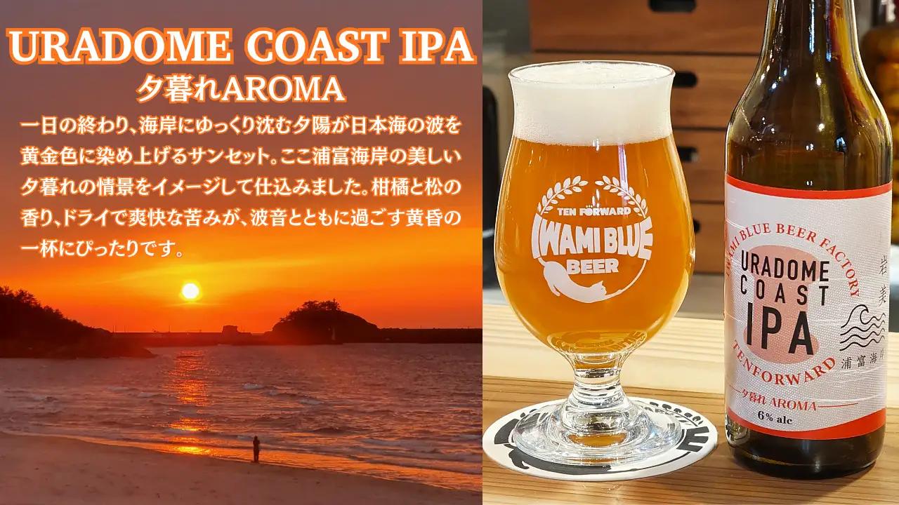 IWAMI BLUE BEER 定番2種セット 6本（各3本）｜鳥取 岩美町 クラフトビール お酒 ビール【51020】