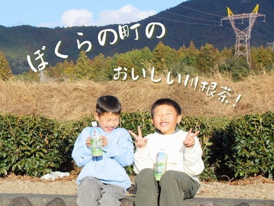 57-1 【定期便】匠厳選！高級一番茶「川根茶」ペットボトル　3ケース