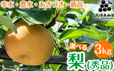【選べる】梨　3kg箱（秀品）　※2025年8月中旬頃より順次発送予定