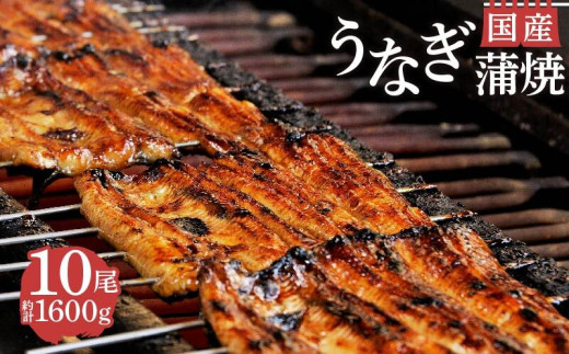 国産 うなぎ 蒲焼 10尾 1600g お吸い物 タレ 山椒鰻 冷蔵 匠 セット 真空 小分け 丑の日 沼津 うなよし 静岡県 人気   老舗 高級