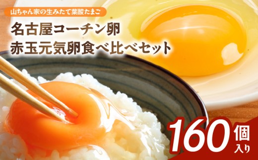 【山ちゃん家の生みたて葉酸たまご】名古屋コーチン卵・赤玉元気卵 食べ比べセット（各80個 合計160個入り）［132Y12］山ちゃん家 生みたて 葉酸たまご 名古屋コーチン卵 赤玉元気卵 食べ比べ セット 各 80個 合計 160個 入り 地鶏 卵 朝食 卵焼き 目玉焼き オムライス ゆでたまご 山田養鶏 お取り寄せ 愛知県 小牧市 送料無料