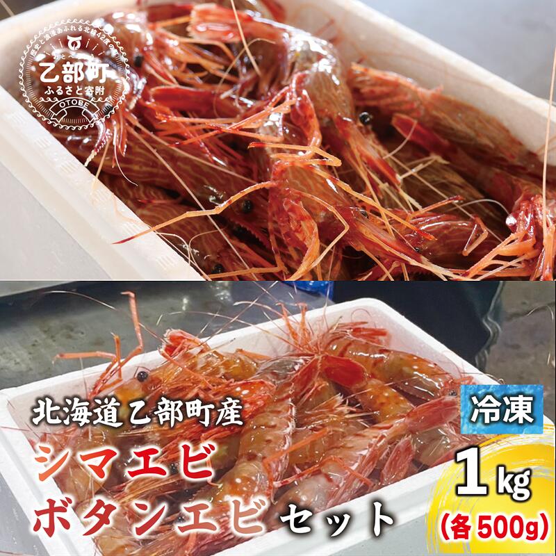 【ふるさと納税】＜ボタンエビ・シマエビ(冷凍) 1kg(各500g)＞北海道乙部町産 北海道 道産 国産 乙部町産 シマエビ ボタンエビ 海老 日本海 天然 魚介類 新鮮 希少 お刺身 エビチリ 漁師直送 産地直送 送料無料