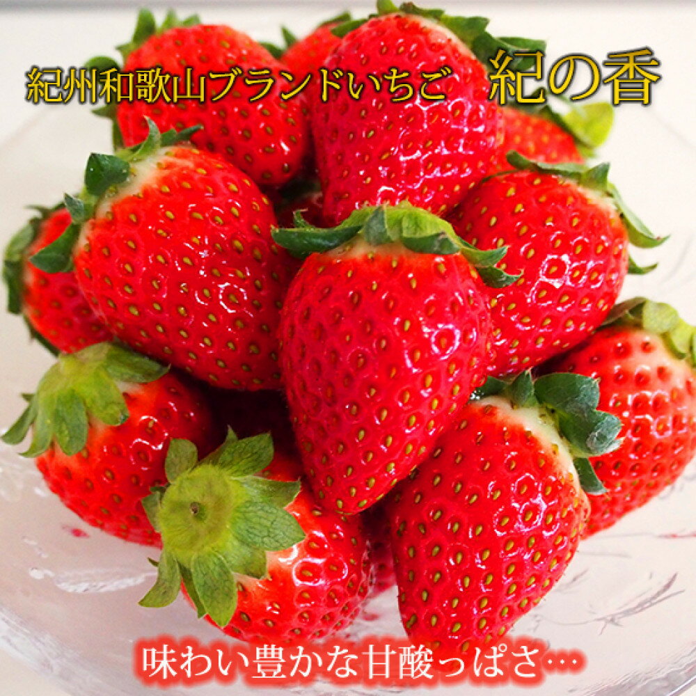 【ふるさと納税】紀州和歌山ブランドいちご「紀の香」約250g×4P ［UT143］ | いちご 紀の香 フルーツ 果物 くだもの 食品 人気 おすすめ 送料無料