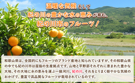 柑橘 食べ比べ 約2.1kg計3種入り 