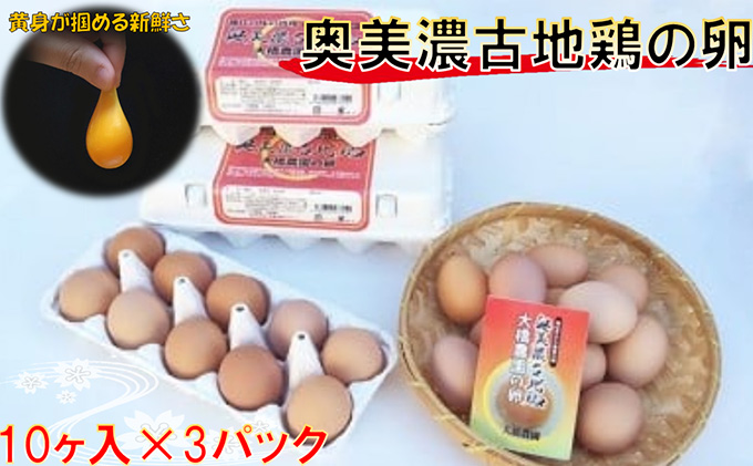 卵 神代の味の再現 奥美濃古地鶏の卵 鶏卵 たまご 玉子 