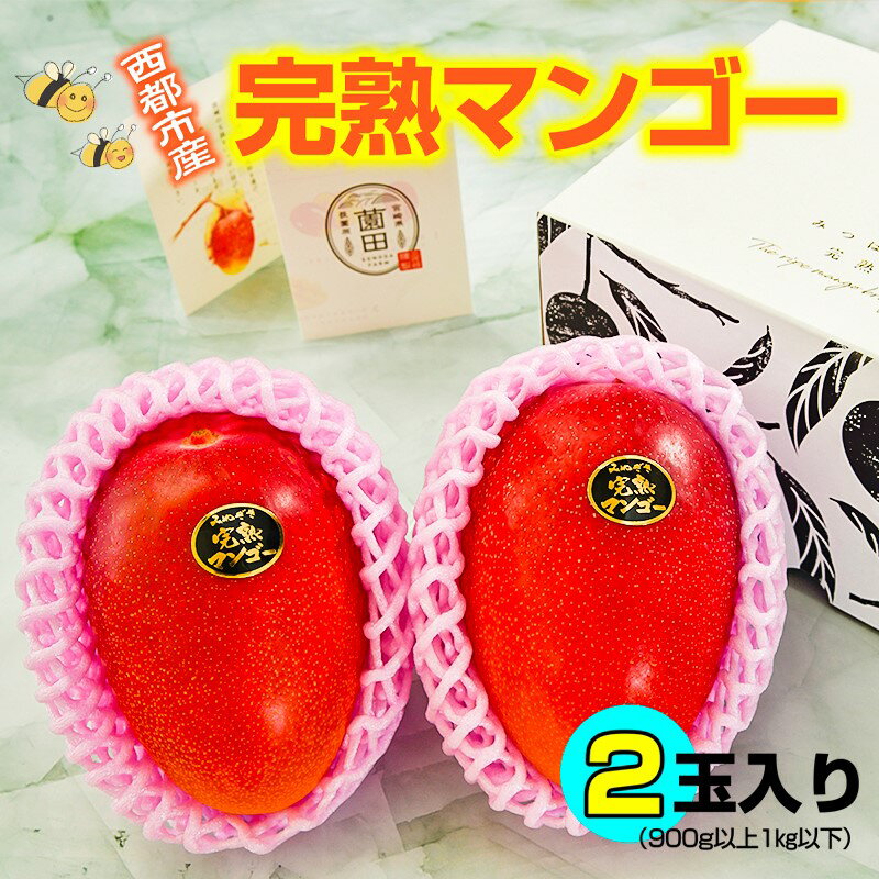 【ふるさと納税】宮崎完熟マンゴー「薗田農園」1箱（2玉入）宮崎 西都市産＜1.8-29＞