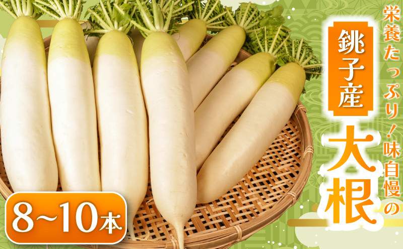 
                  【先行予約】 大根 8～10本 数量限定 期間限定 大容量 旬の野菜 旬の味覚 だいこん 大根サラダ サラダ 生野菜 漬物 大根おろし 味噌汁 大根餅 煮物 大根ステーキ たくあん ふろふき大根 ぶり大根 豚バラ大根 おでん 和食 生産量 日本一 贈答 プレゼント 贈り物 ギフト 贈答 グルメ 発送時期 2027年4月～(なくなり次第終了)  ふるさと納税 送料無料 千葉県 銚子市 小野商店
                