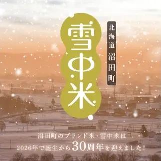 令和8年産【定期便4ヶ月】ななつぼし 無洗米 20kg（5kg×4袋） 【2月発送】開始 雪冷気 籾貯蔵 雪中米 北海道 nr-3230