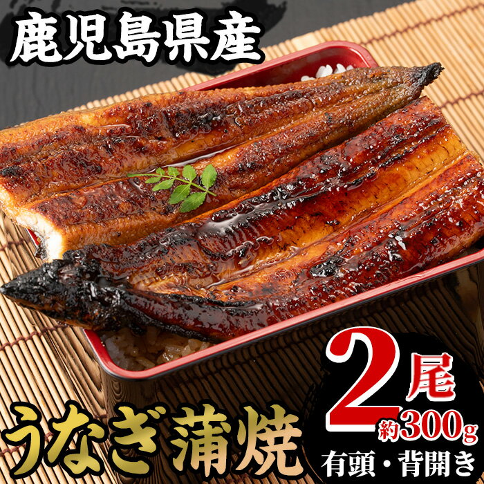 【ふるさと納税】国産うなぎ(鹿児島県産うなぎ)蒲焼2尾(約300g) 国産 国産魚 九州産 鹿児島県産 魚 魚介 鰻 うなぎ ウナギ unagi 蒲焼 蒲焼き 惣菜 冷凍 【南竹鰻加工】