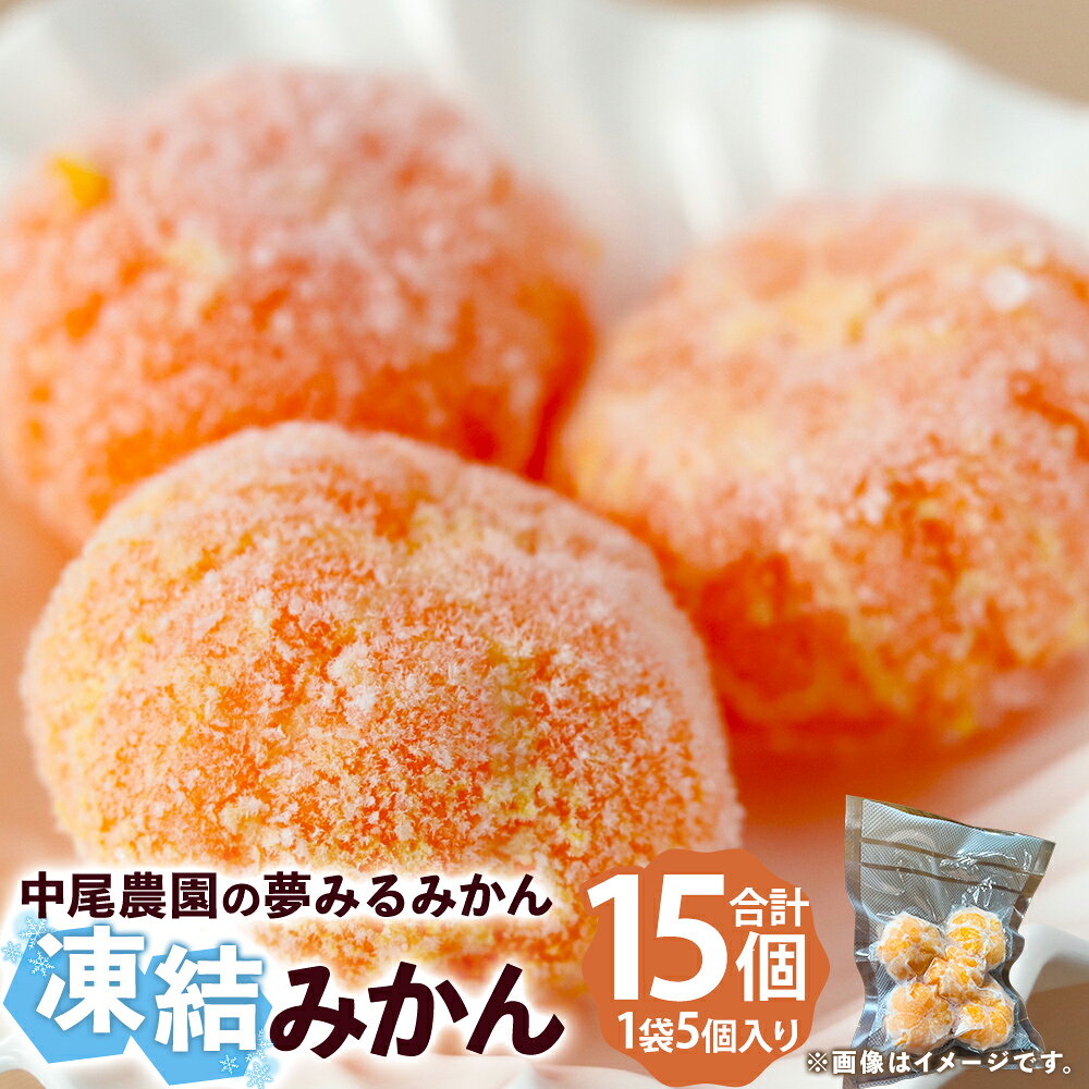 【ふるさと納税】中尾農園の夢みるみかん 凍結みかん3Sサイズ5個入×3袋 【数量限定】 みかん ミカン 蜜柑 柑橘 小玉 凍結みかん フルーツ くだもの 果物 ビタミン豊富 国産 月の引力が見える町 さがみかん 太良みかん 夢みるみかん おいしい 濃厚冷凍 佐賀県 太良町 M110x1