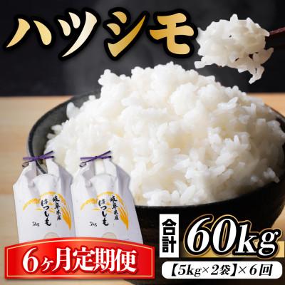 ふるさと納税 羽島市 【毎月定期便】岐阜県産ハツシモ　10kg(精米5kg×2袋)全6回