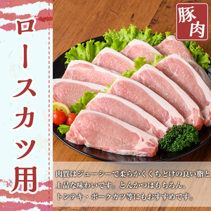 鹿児島県産 豚肉 ロース カツ セット (計30枚・5枚×6P)【TRINITY】A678