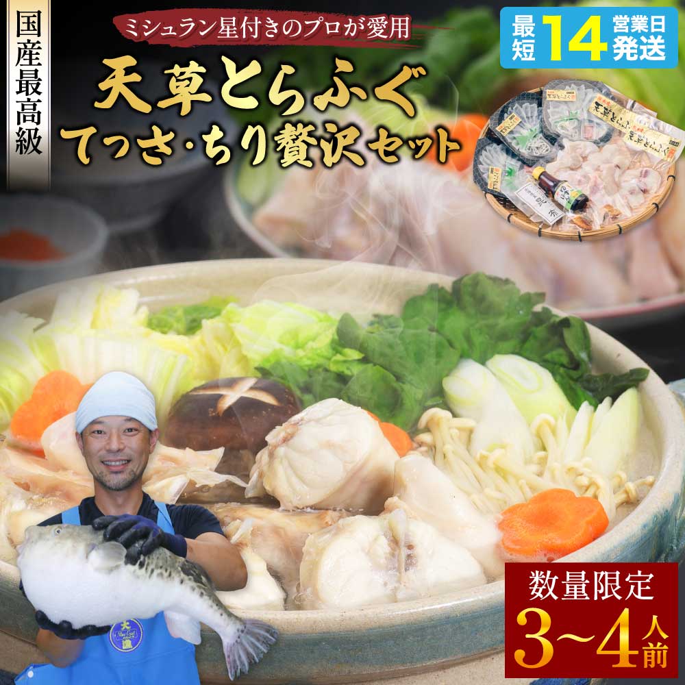 【ふるさと納税】 ふぐ 〈数量限定・緊急支援品〉ふぐの王様 とらふぐ 国産 最高級 天草とらふぐてっさ・ちり贅沢セット (3〜4人前) フグ ふぐ 刺身 てっさ てっちり ひれ酒用 焼きひれ 冷凍 熊本県産 株式会社天草海産