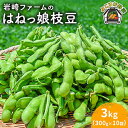 【ふるさと納税】【先行予約】【数量限定】はねっ娘枝豆 3kg（300g×10袋）神奈川 横須賀 枝豆 冷蔵 農家直送 新鮮 幻 希少 あまおとめ 濃厚【有限会社岩崎ファーム】[AKCZ002]