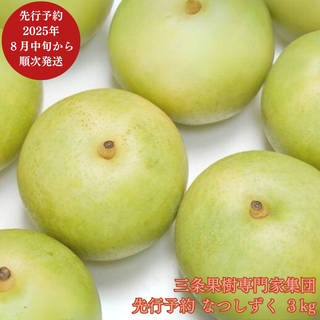 【ふるさと納税】先行予約 和梨 なつしずく 約3kg [8月中旬から発送予定] 令和7年度 新潟県 三条市産 [三条果樹専門家集団]【016P036】