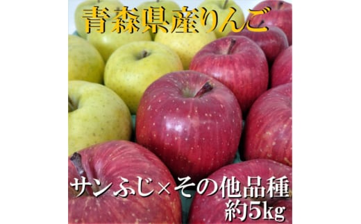 
サンふじ×その他品種　約5kg＜津軽みらい農業協同組合の青森県産りんご＞【1063272】
