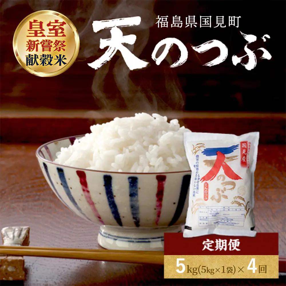 【令和8年産】【全4回定期便】米　国見町産　天のつぶ 5kg（5kg×1袋） 4回定期便 ※2026年10月～発送