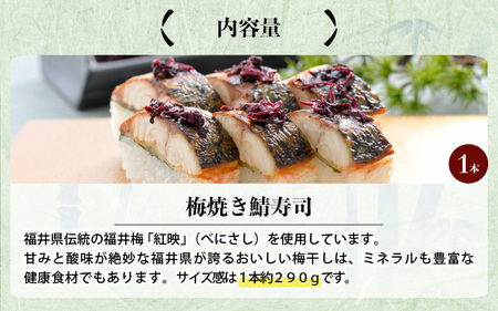 梅焼き鯖寿司 1本 鯖寿司 冷凍 [A-0555]