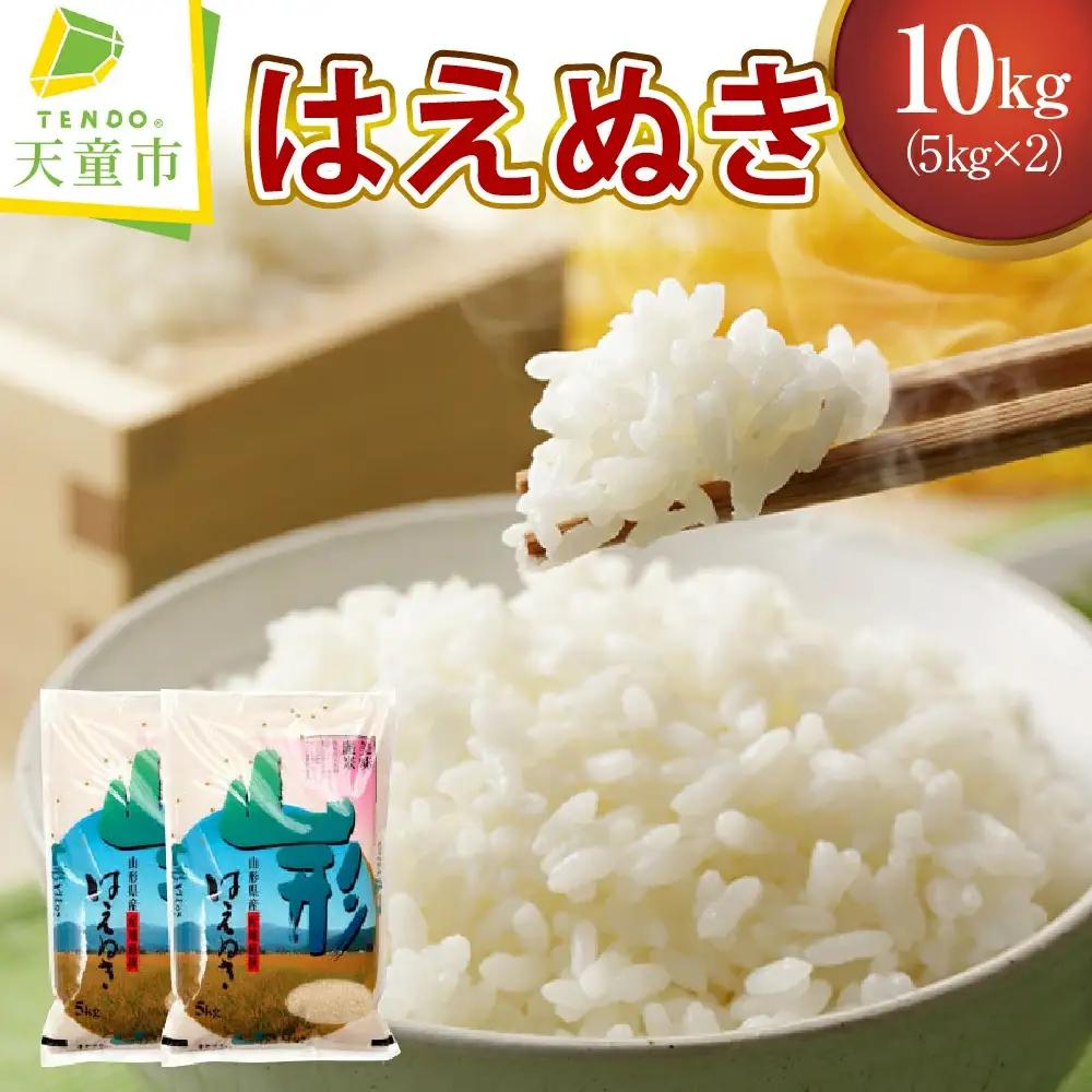はえぬき 10kg [ 令和8年産 ] 米 精米 山形