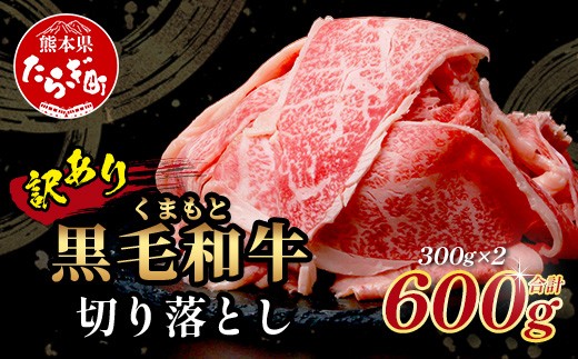 9月発送【訳あり】くまもと黒毛和牛 切り落とし 600g  本場 熊本県 黒毛 和牛 ブランド 牛 肉 上質 くまもと 訳アリ 小分け 冷凍 すき焼き しゃぶしゃぶ