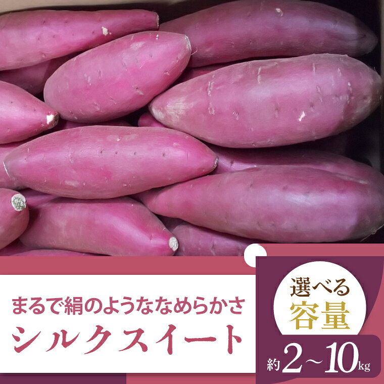 【ふるさと納税】【選べる内容量】【2026年11月より順次発送】2026年度産 まるで絹のようななめらかなさつまいも シルクスイート 約2・5・10kg｜さつまいも 芋 お芋 シルクスイート 渋谷農園 先行予約 茨城県 行方市(BZ-19)