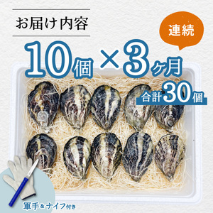 【あまべ牡蠣 10個 ３ヶ月連続定期便】あまべ牡蠣 10個 3ヶ月定期便 30個 牡蠣 シングルシード 生食用 殻付き かき カキ オイスター 生ガキ 生牡蠣 生がき 生かき ギフト 貝 旨味 