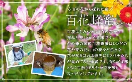 【全12回】 定期便 かの蜂 国産 百花蜂蜜 合計12kg（とんがり容器500gを毎月2本お届け）　024-T006