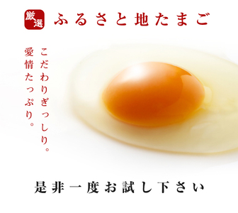 卵 ふるさと地たまご 60個（M・Lサイズ）卵 赤たまご 10個破損補償含む