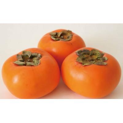 ふるさと納税 つくばみらい市 訳あり柿　5kg　茨城県共通返礼品:大子町産