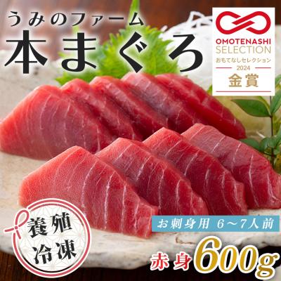 ふるさと納税 大月町 国産 養殖本マグロ 赤身600g 刺身用 冷凍 柵 ギフト 贈答 産地直送 海鮮丼 寿司 御歳暮