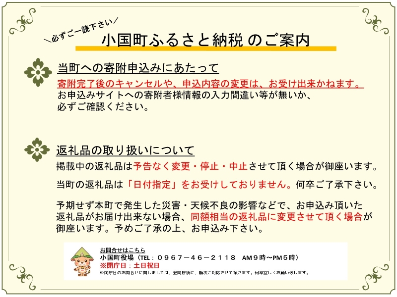 【令和7年度受付】名入れ鯉のぼり掲揚権（杖立温泉鯉のぼり祭）