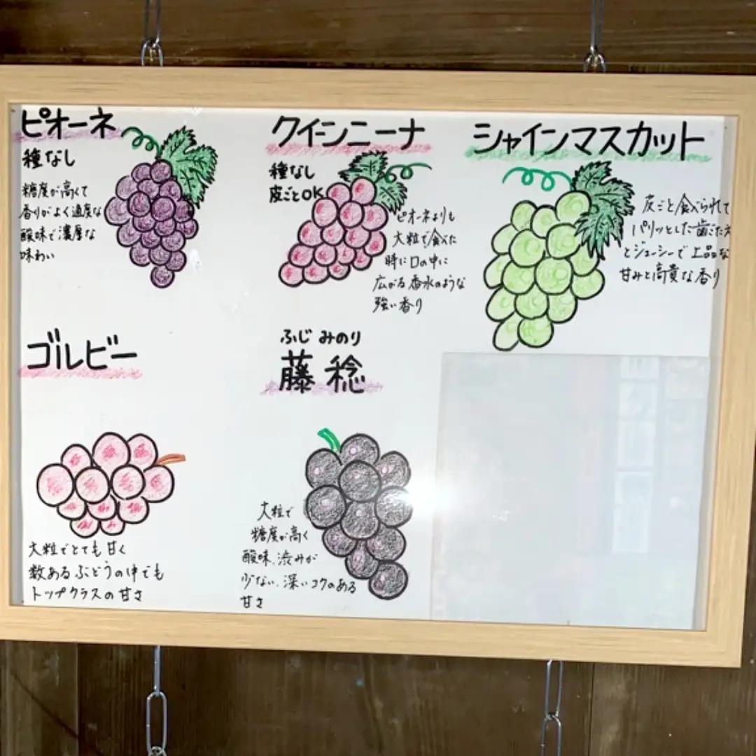 《 種なし 》 クイーンニーナ 約1.5kg 3～4房 (茨城県共通返礼品 かすみがうら市) 久保田果樹園 産地直送 フルーツ 甘い 直送 茨城 限定 ギフト ぶどう クイーンニーナ 果物 [DH00