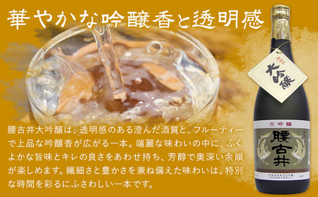 腰古井 大吟醸 1.8L 1本 有限会社 滝口商店《30日以内に出荷予定(土日祝除く)》千葉県 勝浦市 日本酒 酒 大吟醸