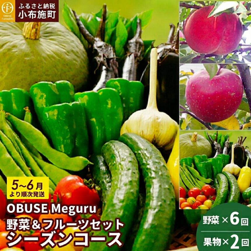 【ふるさと納税】［年8回定期便］ OBUSE Meguru 野菜&フルーツセット シーズンコース 農薬・化学肥料を使わずに栽培した野菜と減農薬栽培した果物 ［おぶせファーマーズ］| おまかせ 野菜 やさい 詰め合わせ 8～12種類 果物 フルーツ 長野 信州 数量限定