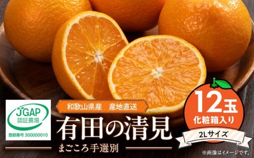 
                  【2027年先行予約】和歌山県産 有田の 清見 化粧箱入り 2Lサイズ 12個入り（まごころ手選別）_ZE6117n
                