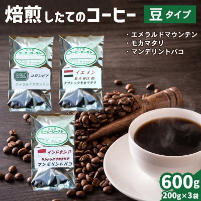 ふるさと納税 伊勢原市 コーヒー豆3袋(エメラルドマウンテン/クラシックモカマタリ/マンデリントバコ)