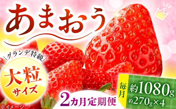 
                  【全2回定期便】あまおう いちご 1080g（約270g×4パック）【2027年1月中旬より順次発送】 《築上町》【株式会社HSP-テクノ】[ABFG003] 定期 amaou strawberry フルーツ 苺 ていきびん あまおう 果物 定期便 冷蔵 いちご 福岡県産 あまおう イチゴ 生いちご 苺 あまおういちご アマオウ くだもの ブランドいちご 博多あまおう 29000 29000円
                