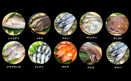 香住の朝獲れ地魚セット 期間限定 4～5種類詰め合わせ 1.5kg～2kg程度 33-11