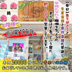 ＜滴る果汁とあふれる果肉が自慢のもも＞大玉の桃2kgセット【先行予約・2026年6月下旬より順次発送】秀品（約6～7個入り）