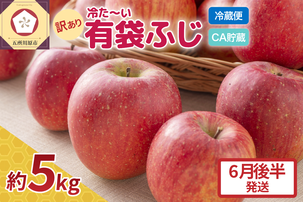 【6月後半発送 】りんご ふじ 訳あり 約 5kg 【 配送時期が選べる 】 冷た～い 有袋ふじ 【 有袋栽培 CA貯蔵 クール便 果物類 林檎 リンゴ ふじりんご 家庭用 フルーツ 青森 五所川原 】