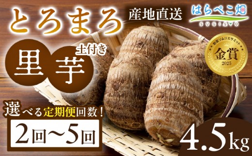 
                  【定期便】里芋『とろまろ』土付き・4.5kg・H138-SKU
                